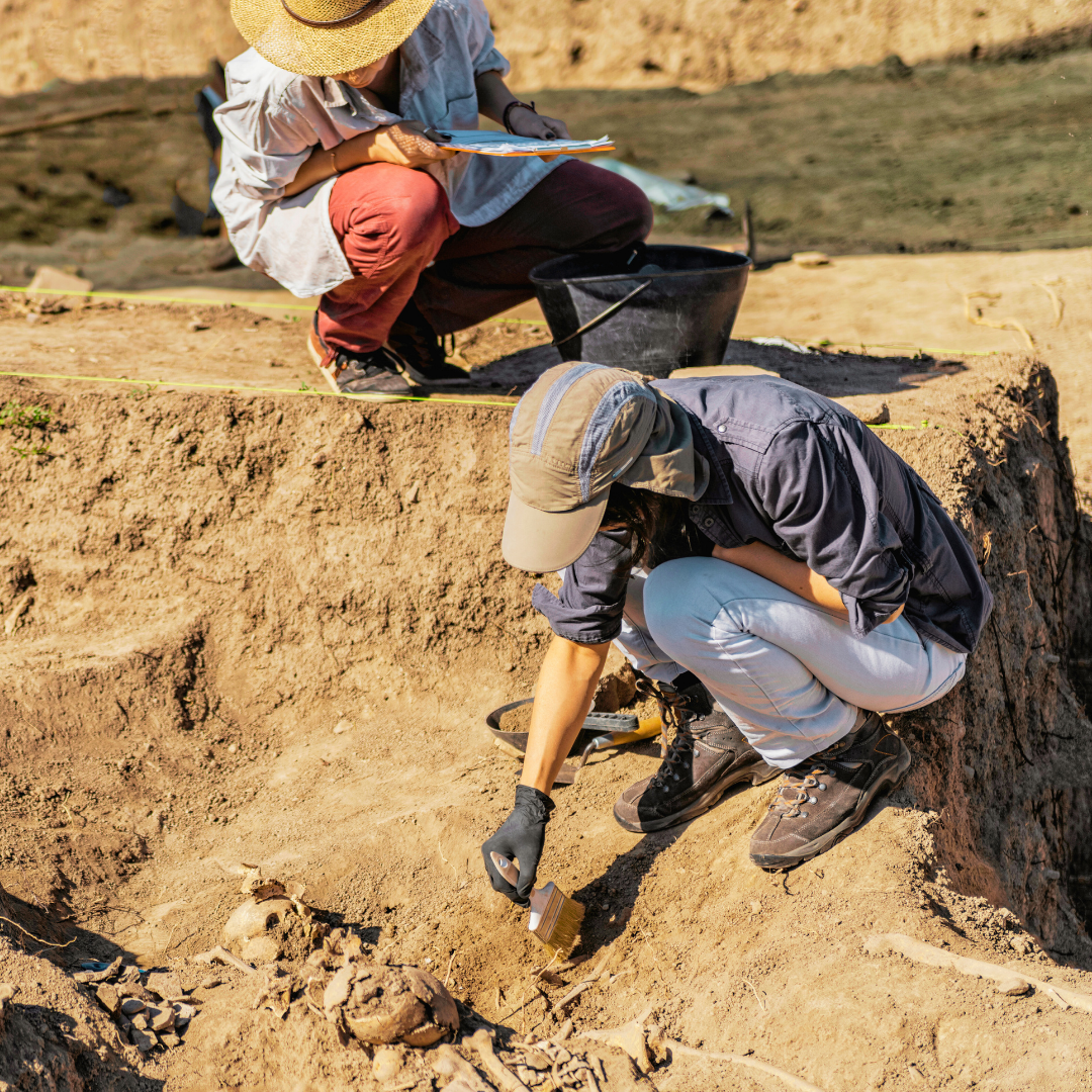 Archaeologists carefully excavating ancient artifacts at a historical dig site.