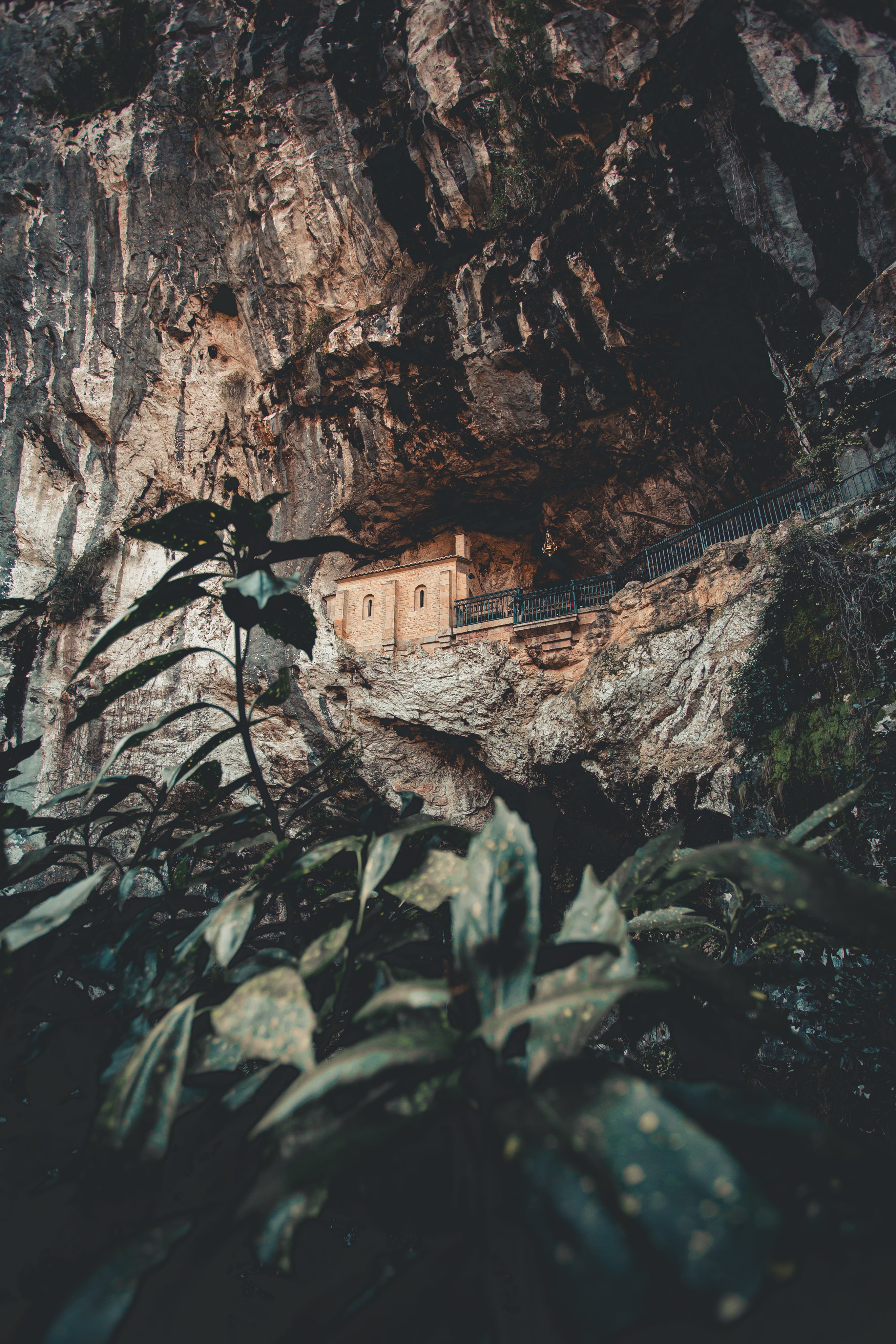 A secluded temple or monastery built into a rocky cliffside, partially hidden by forest vegetation.
